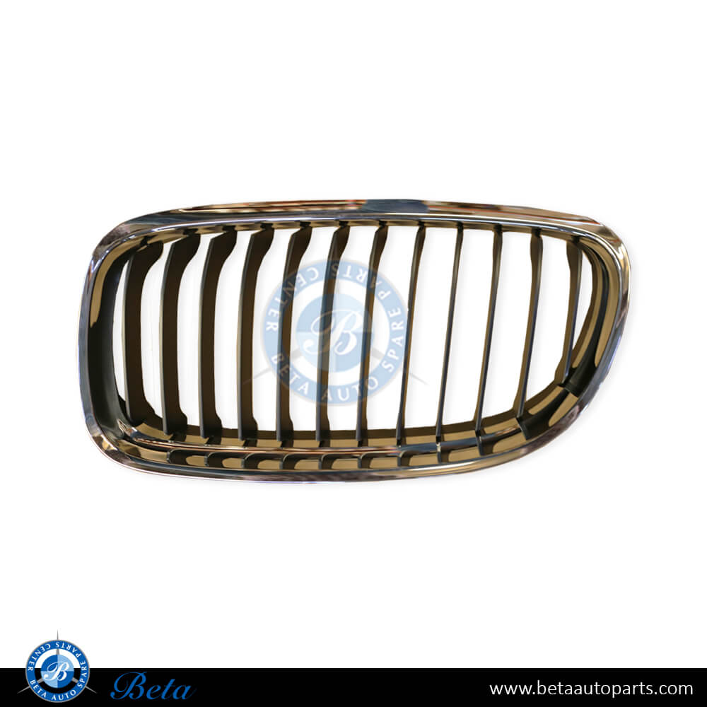 Left Side Radiator Grille Black and Chrome for BMW 3 Series E90 LCI 2009-2011 models, Part Number 51137201967 Left Side Radiator Grille Black and Chrome for BMW 3 Series E90 LCI 2009-2011 models, Part Number 51137201967